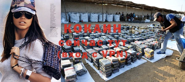 спиды Нефтекумск